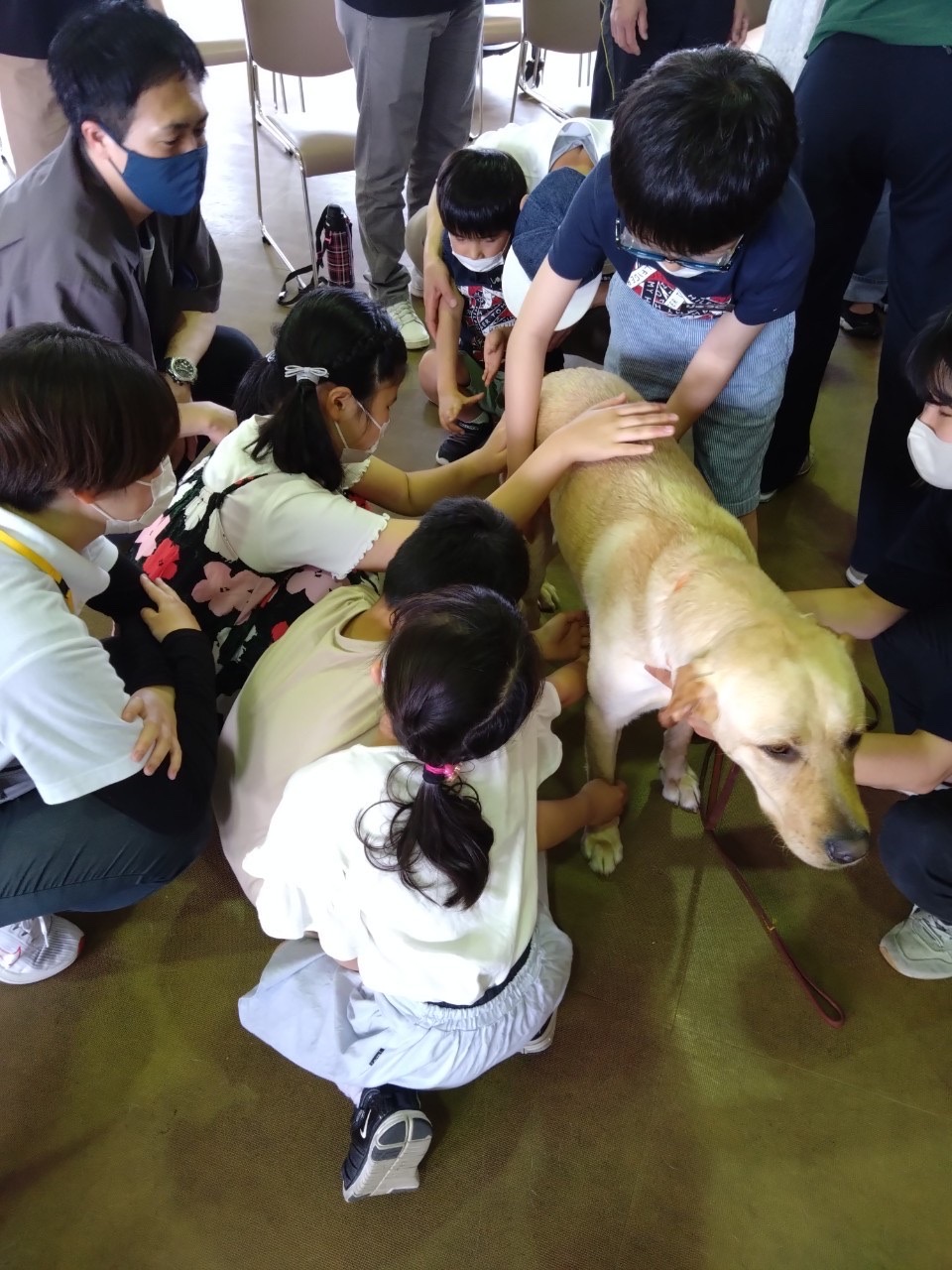 盲導犬を触っている子どもたち。