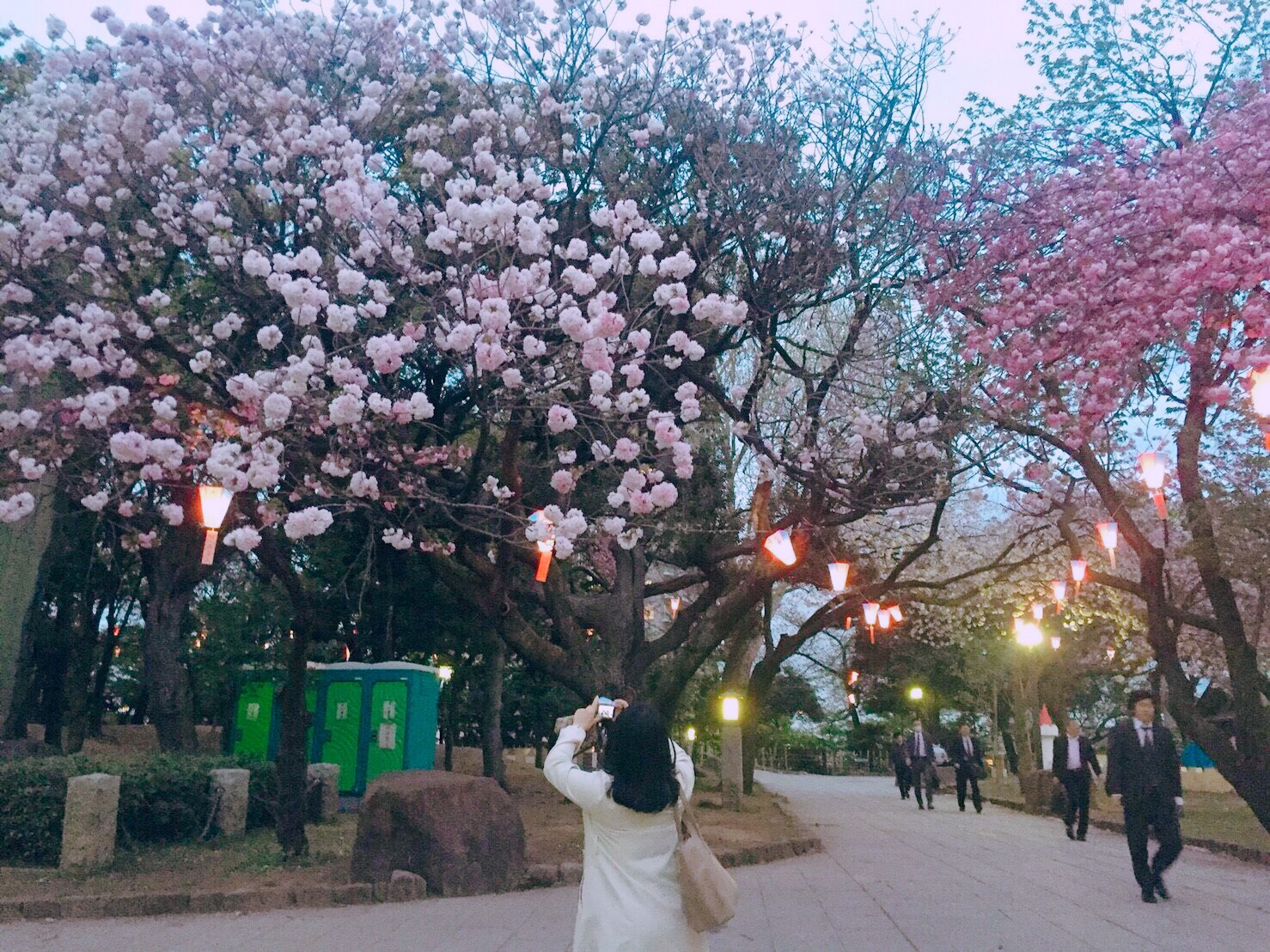 4 6飛鳥山公園にてお花見 文京区の地域活動情報サイト どっとフミコム