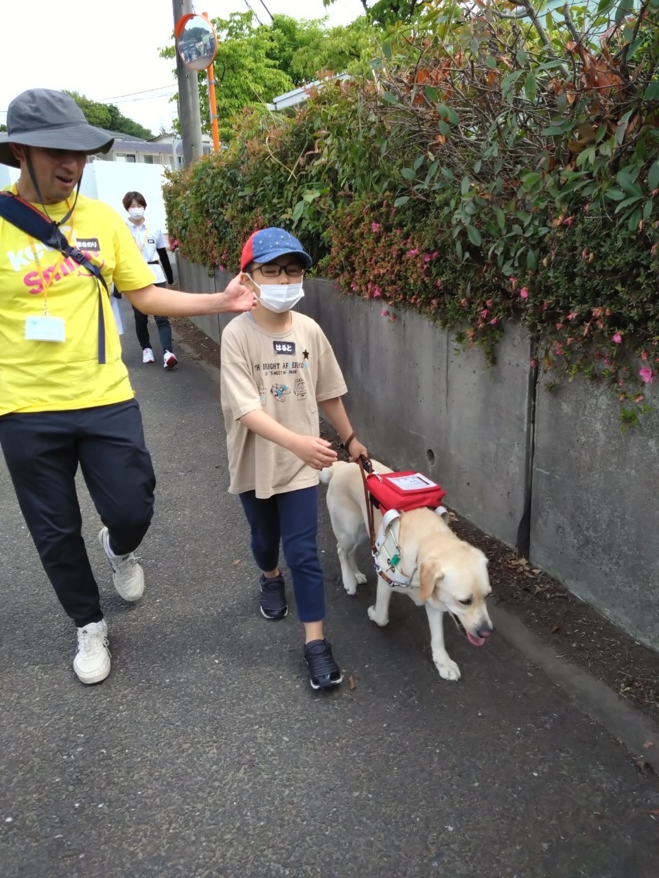 盲導犬と歩く体験をする男の子。