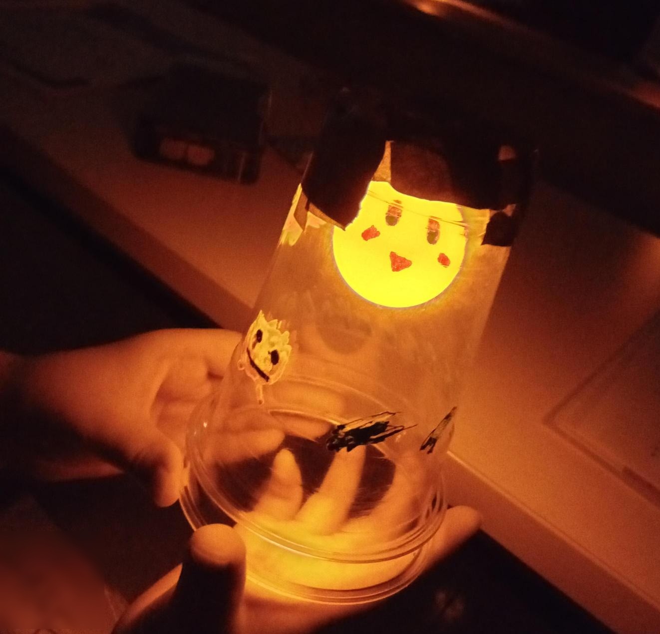 光るランタン(アップ）